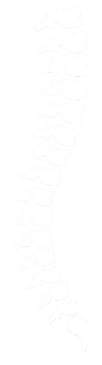 Spine